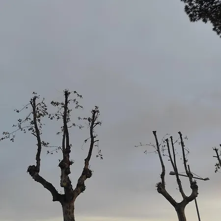 La Tana
